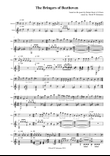 The Bringers of Beethoven for bassoon and guitar
