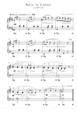 Waltz in A minor - Fritz Spindler