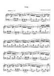 Tulip Op 111,No 4 - Heinrich Lichner