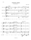 Clarinete calipso