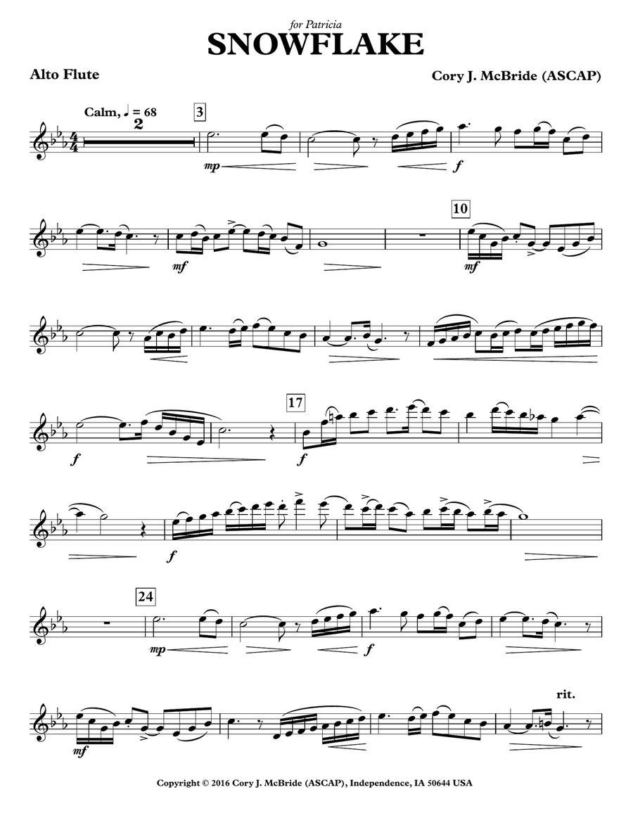Snowflake Snowflake Chamber Music scores gallery preview page 1