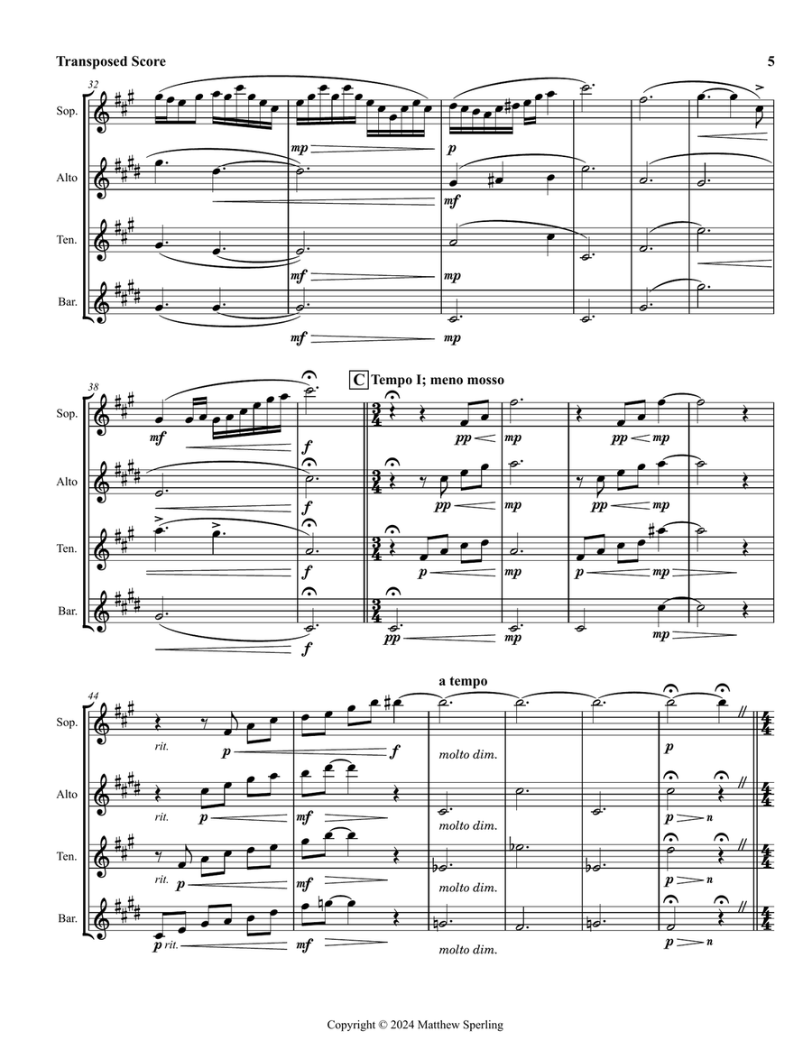 Chaos in the Face of Confusion Saxophone Quartet scores gallery preview page 5
