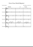 Part Of Your World (Reprise)