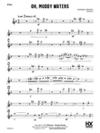 Oh, Muddy Waters: Flute