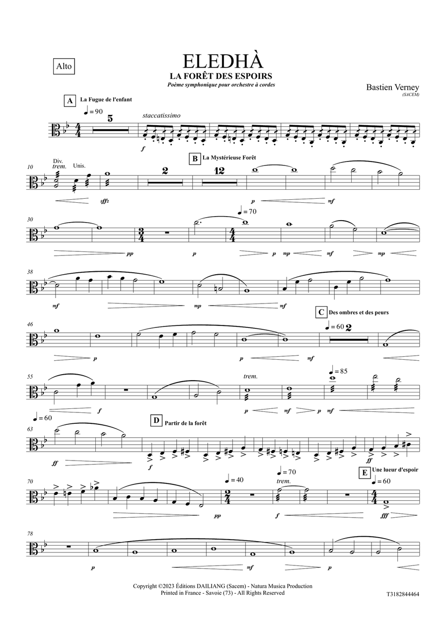 Eledhà - La Forêt des espoirs - Toutes les Parties Séparées Chamber Music scores gallery preview page 6