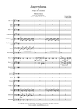 Hunters dance (Jagerdans) - Score Only