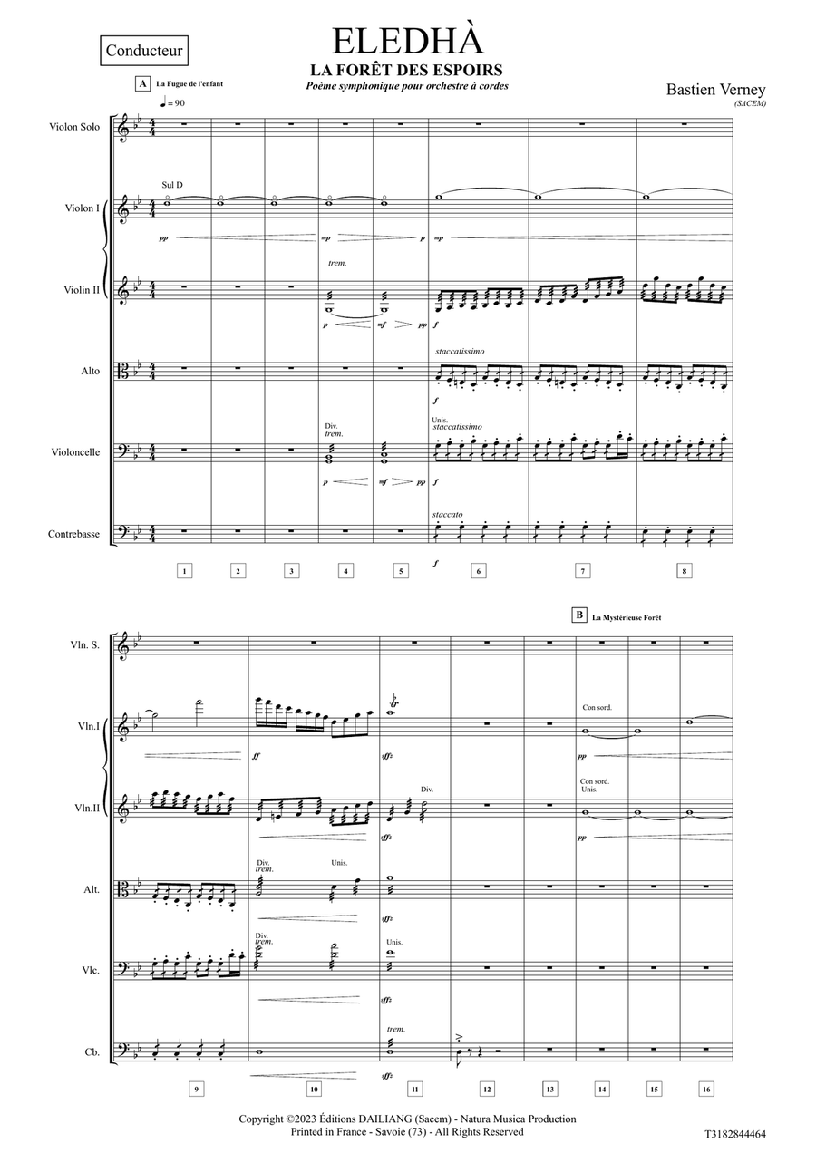 Eledhà - La Forêt des espoirs Chamber Music scores gallery preview page 5