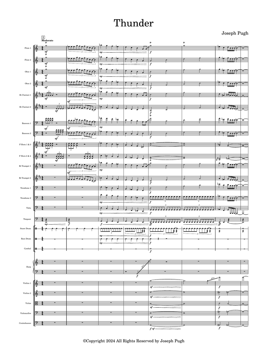 Thunder Thunder Full Orchestra scores gallery preview page 1