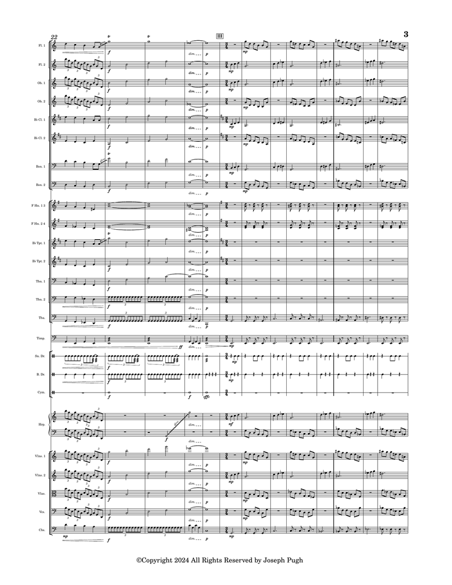 Thunder Thunder Full Orchestra scores gallery preview page 3