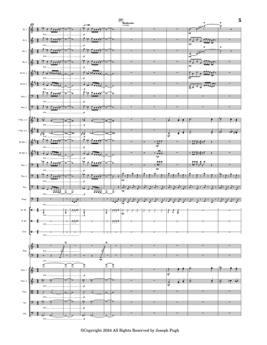 Thunder Thunder Full Orchestra scores gallery preview page 5