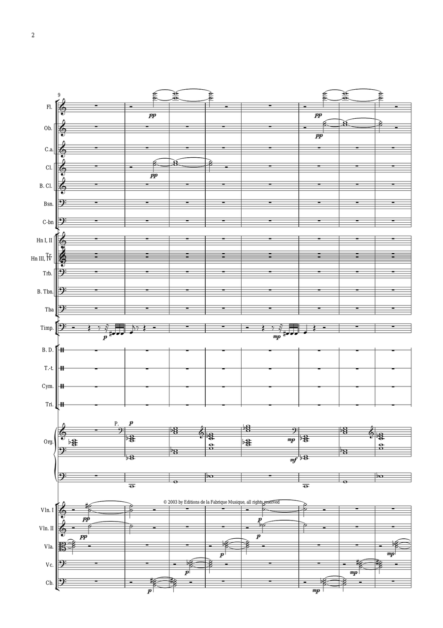 Mount Everest : Summit Bid for orchestra, score only - Score Only Full Orchestra scores gallery preview page 6
