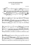 Flute enchantée