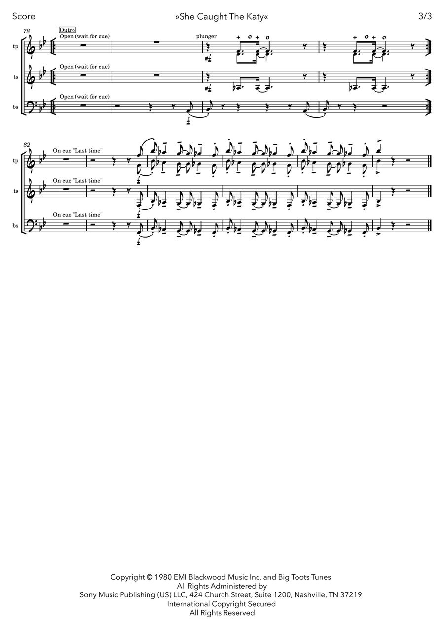 She Caught The Katy And Left Me A Mule To Ride Small Ensemble scores gallery preview page 3