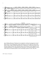 TAMBOURIN - STRING QUARTET String Quartet scores gallery preview page 5