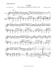 Largo from Concerto in D Major for Lute