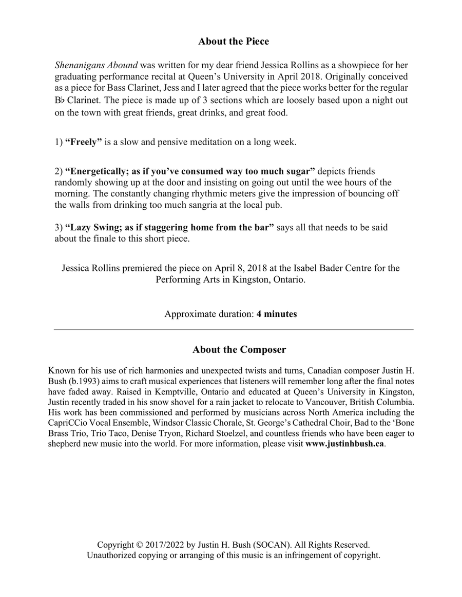 Shenanigans Abound for Solo Clarinet B-Flat Clarinet scores gallery preview page 2