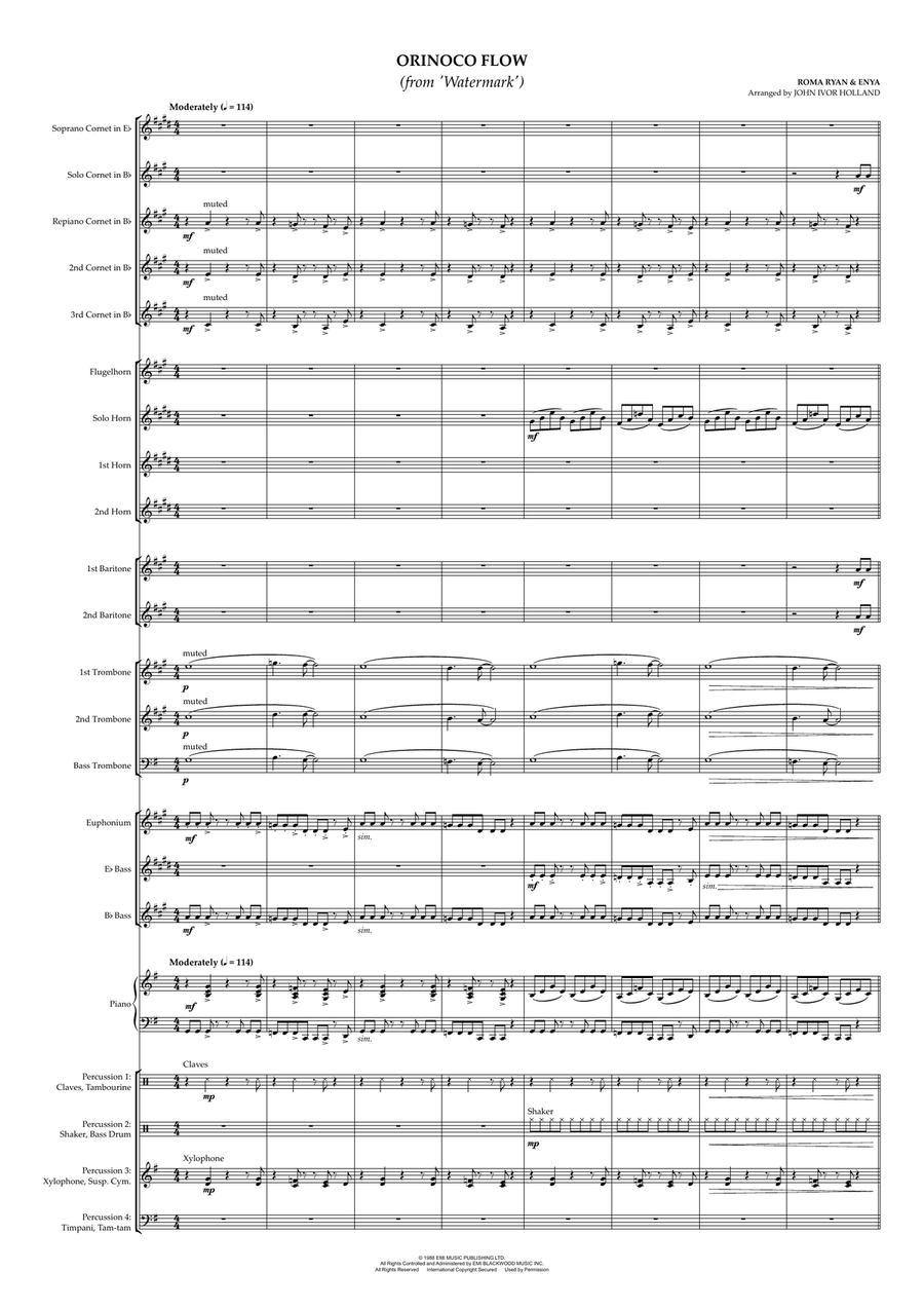 Orinoco Flow Brass Band scores gallery preview page 1