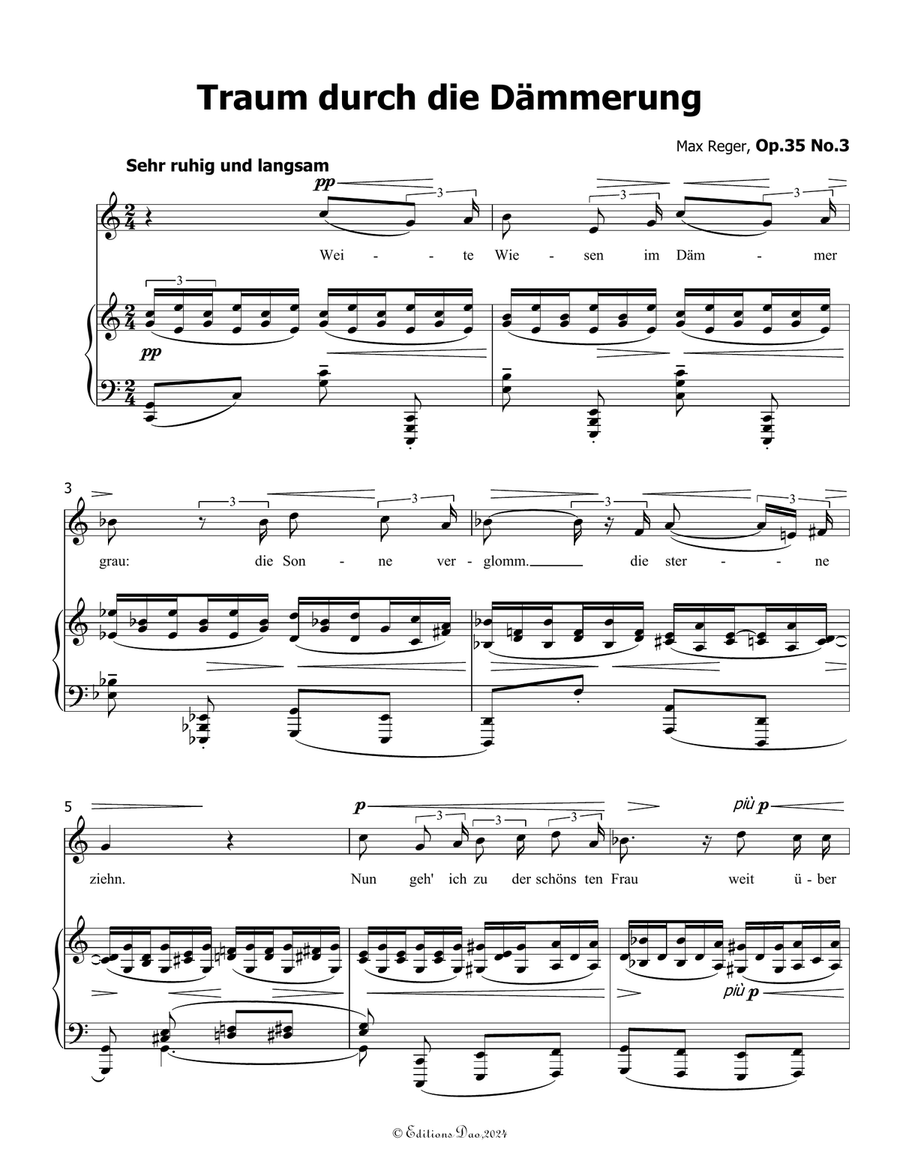 Traum durch die Dammerung, by Reger, Op.35 No.3, in C Major Piano, Vocal scores gallery preview page 3