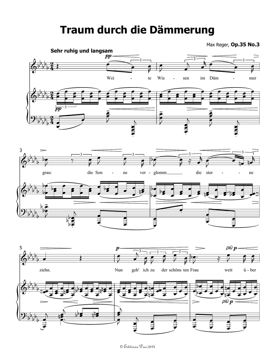 Traum durch die Dammerung, by Reger, Op.35 No.3, in D flat Major Piano, Vocal scores gallery preview page 3