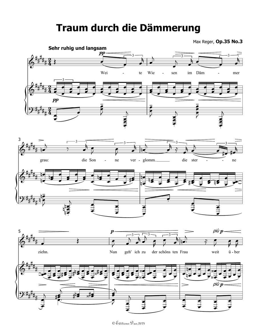 Traum durch die Dammerung, by Reger, Op.35 No.3, in B Major Piano, Vocal scores gallery preview page 3