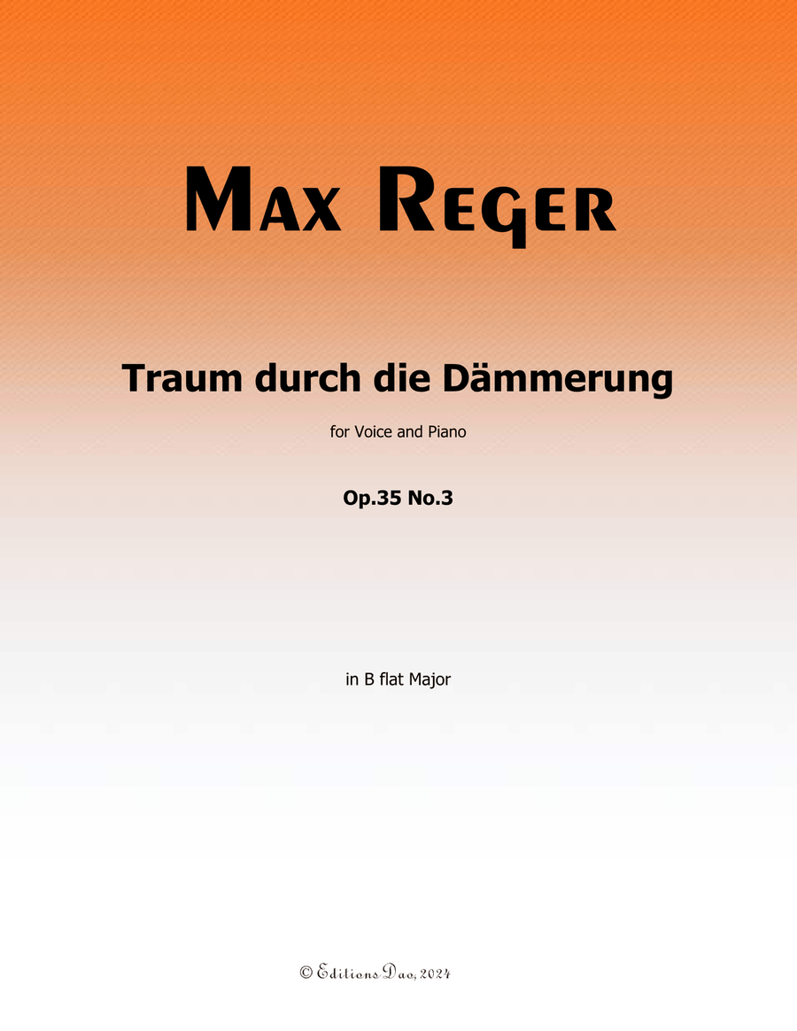 Traum durch die Dammerung, by Reger, Op.35 No.3, in B flat Major Piano, Vocal scores gallery preview page 1