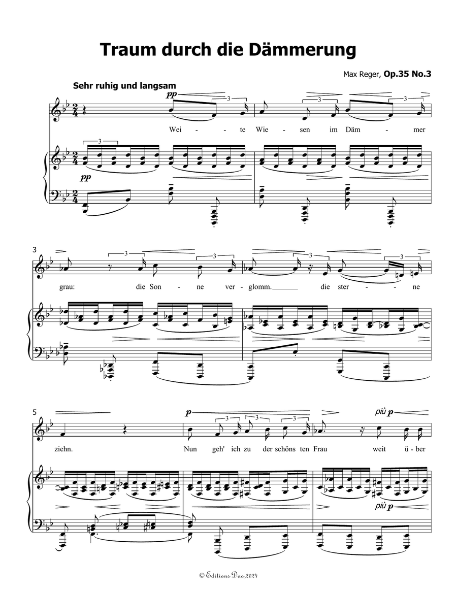 Traum durch die Dammerung, by Reger, Op.35 No.3, in B flat Major Piano, Vocal scores gallery preview page 3