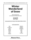 Winter Wonderland of Snow