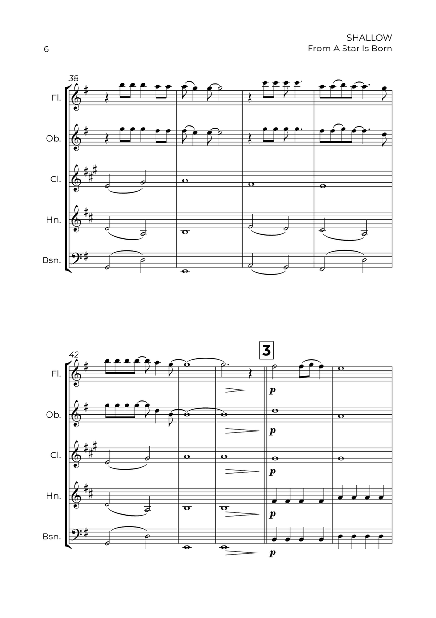 Shallow Shallow Woodwind Quintet scores gallery preview page 6