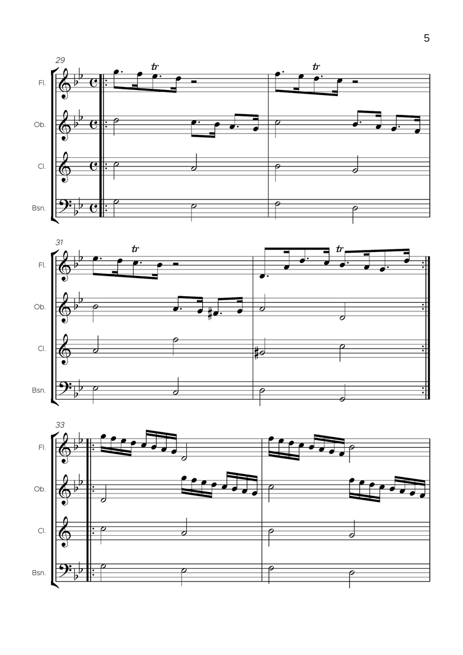 Passacaglia, Suite in G minor, HWV 432 Woodwind Quartet scores gallery preview page 6