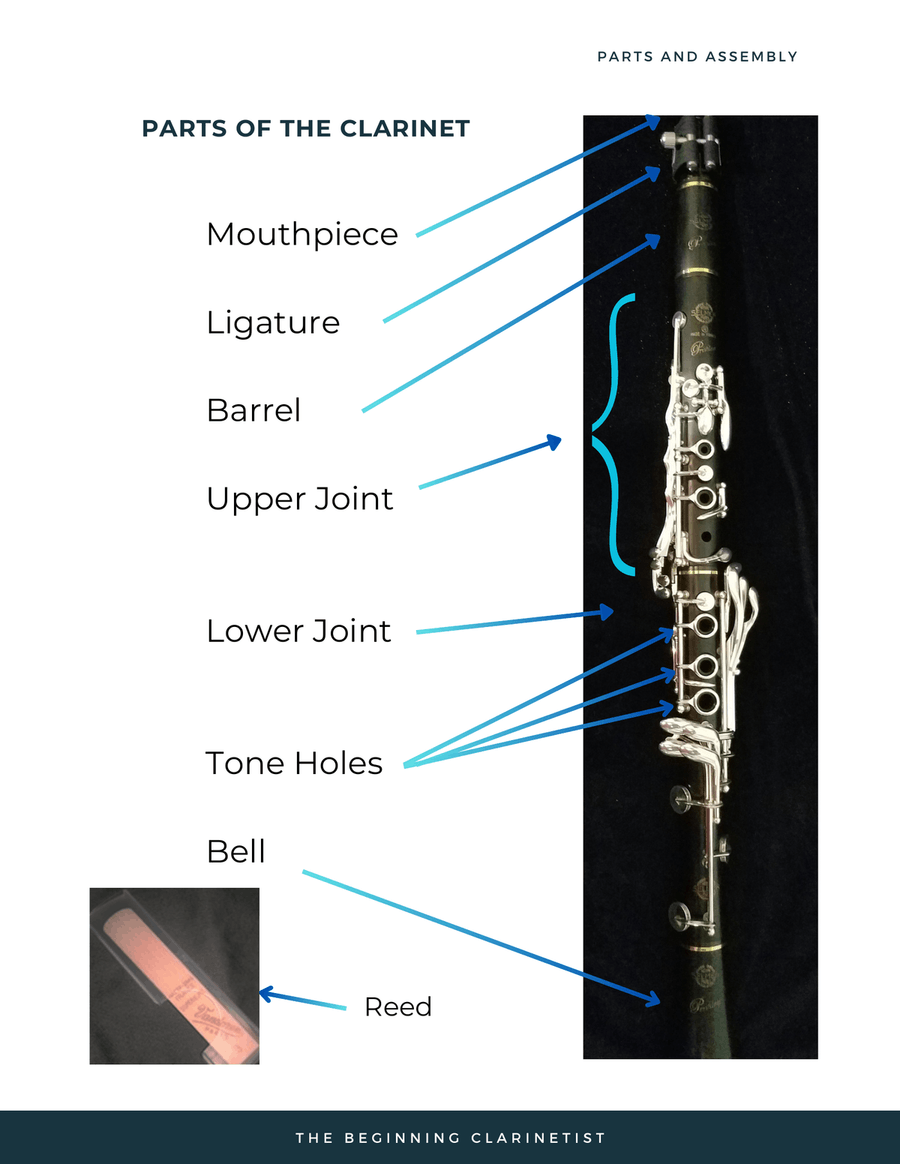 The Beginning Clarinetist B-Flat Clarinet - Digital Sheet Music page 6