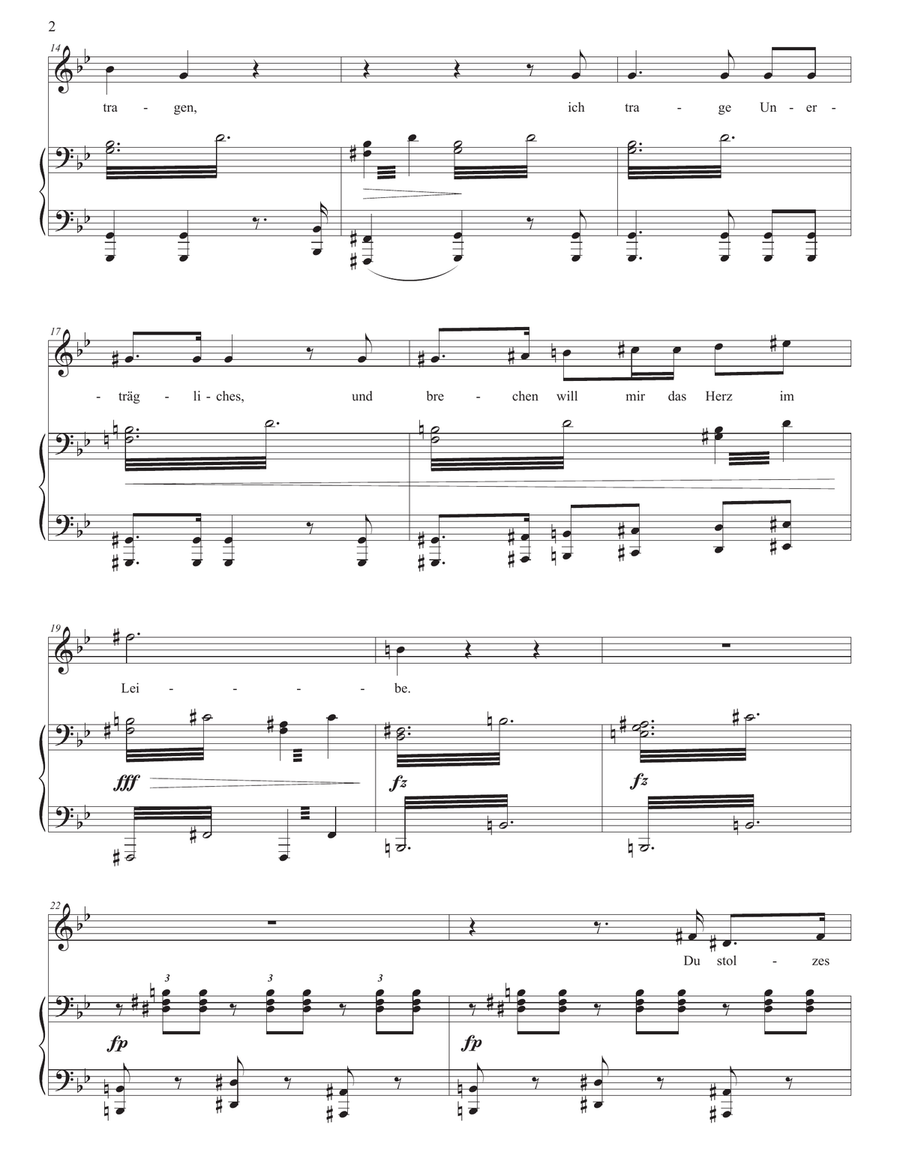 SCHUBERT: Der Atlas, D. 957 no. 8 (transposed to G minor) Piano, Vocal scores gallery preview page 3