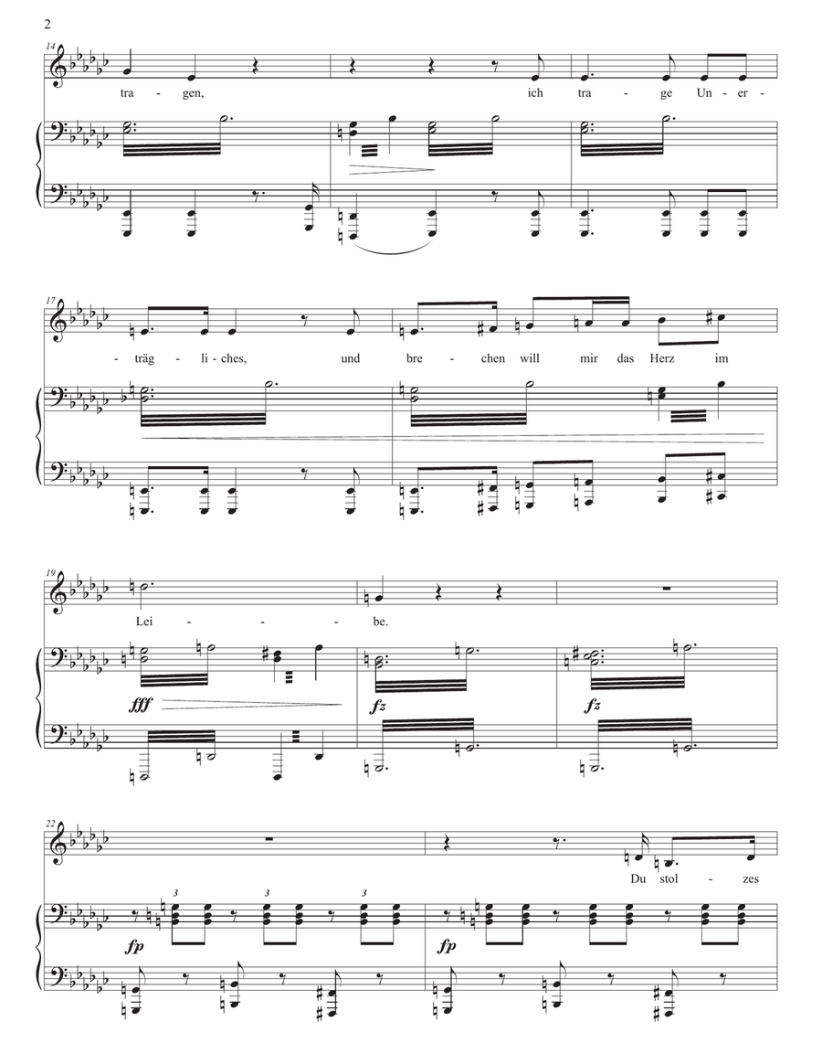 SCHUBERT: Der Atlas, D. 957 no. 8 (transposed to E-flat minor) Piano, Vocal scores gallery preview page 3