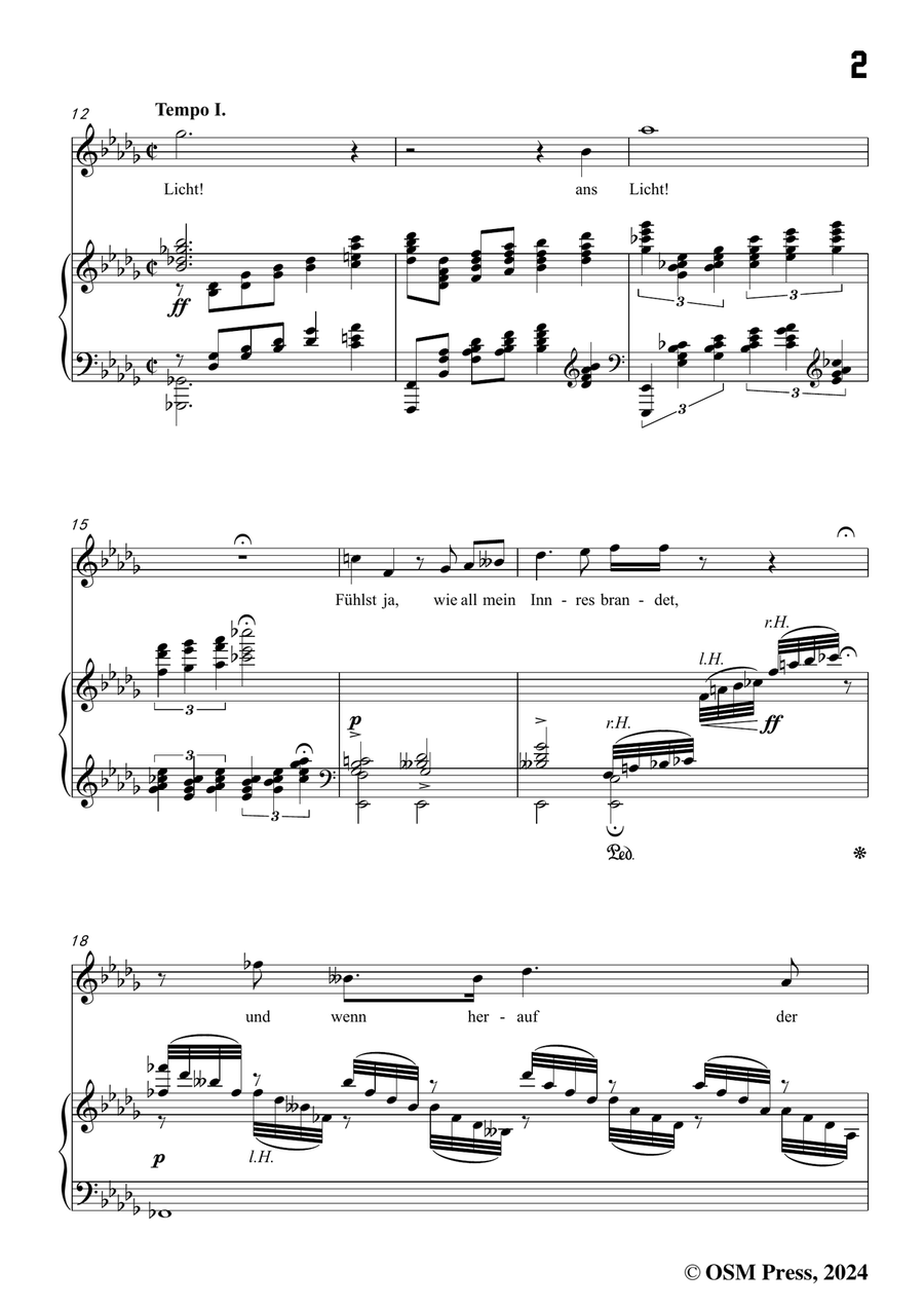 Alma Mahler-Ansturm,in b flat minor Piano, Vocal scores gallery preview page 3