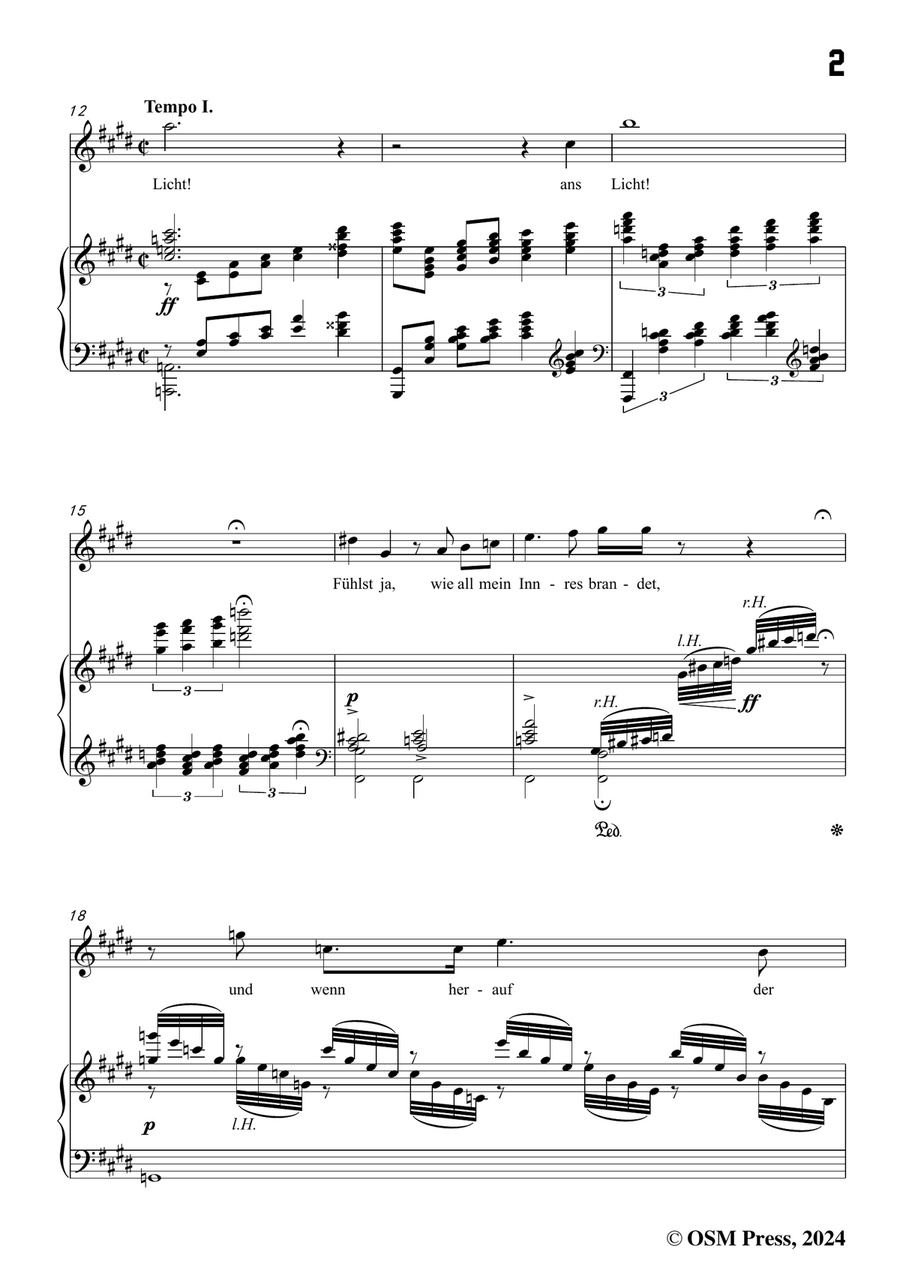 Alma Mahler-Ansturm,in c sharp minor Piano, Vocal scores gallery preview page 3
