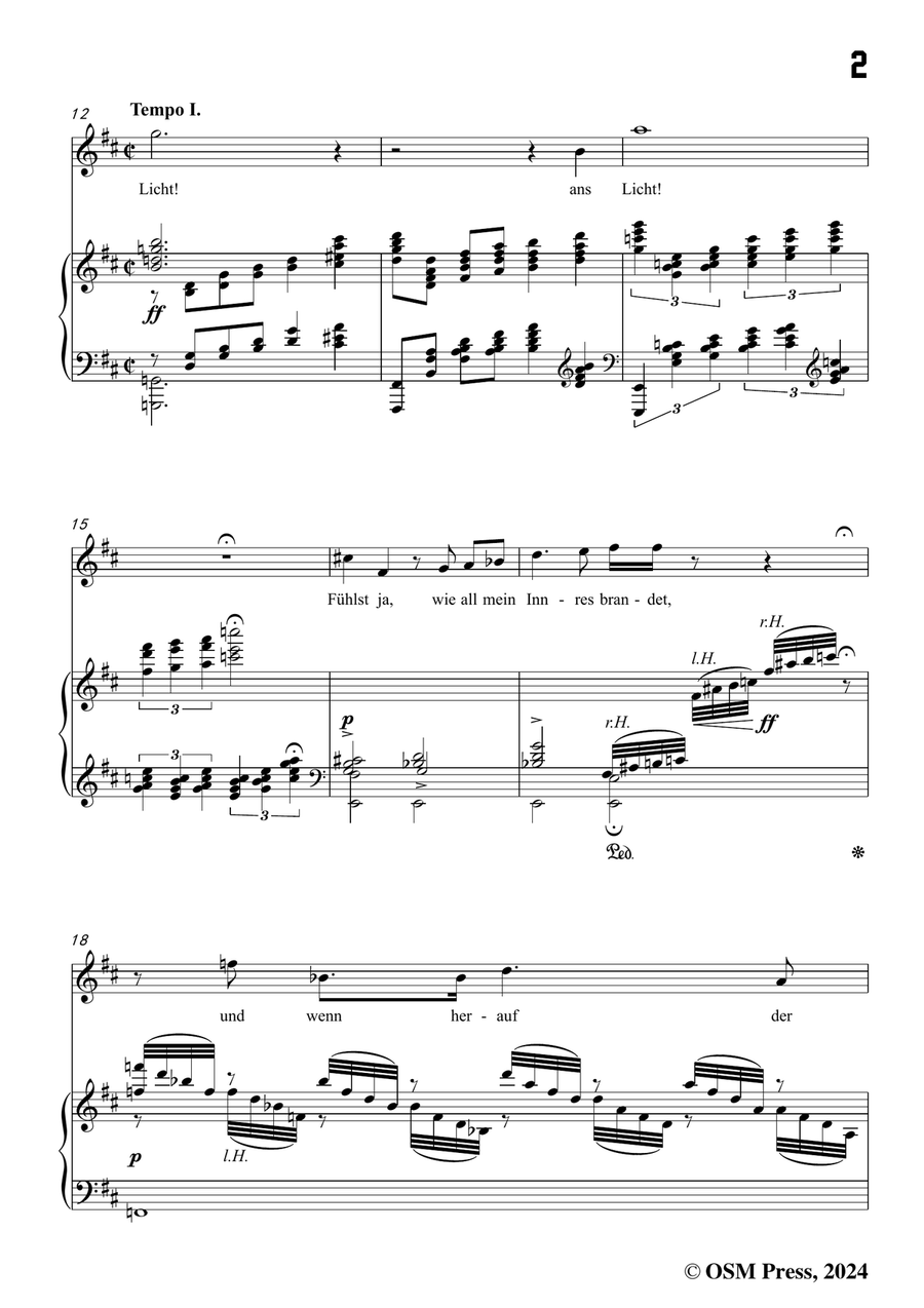 Alma Mahler-Ansturm,in b minor Piano, Vocal scores gallery preview page 3
