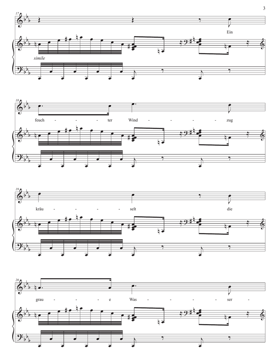 SCHUBERT: Die Stadt, D. 957 no. 11 (transposed to C minor) Piano, Vocal scores gallery preview page 4