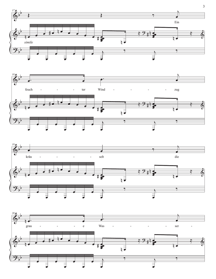 SCHUBERT: Die Stadt, D. 957 no. 11 (transposed to G minor) Piano, Vocal scores gallery preview page 4