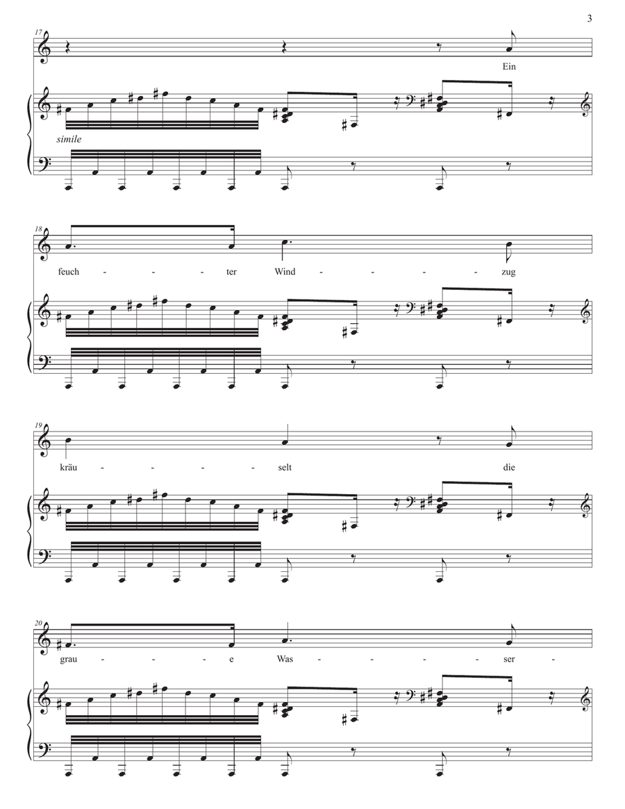 SCHUBERT: Die Stadt, D. 957 no. 11 (transposed to A minor) Piano, Vocal scores gallery preview page 4