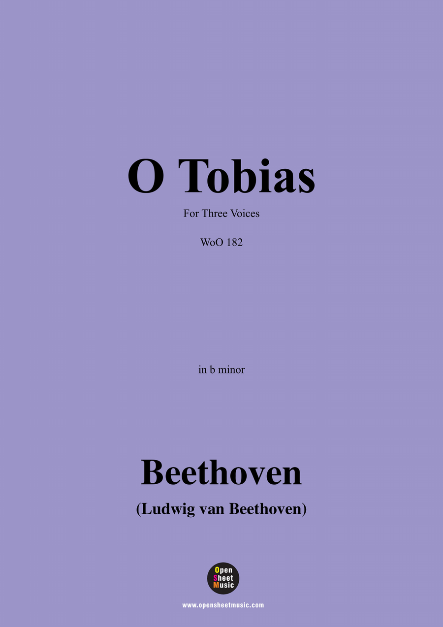 Beethoven-O Tobias,WoO 182,in b minor Piano, Vocal scores gallery preview page 1