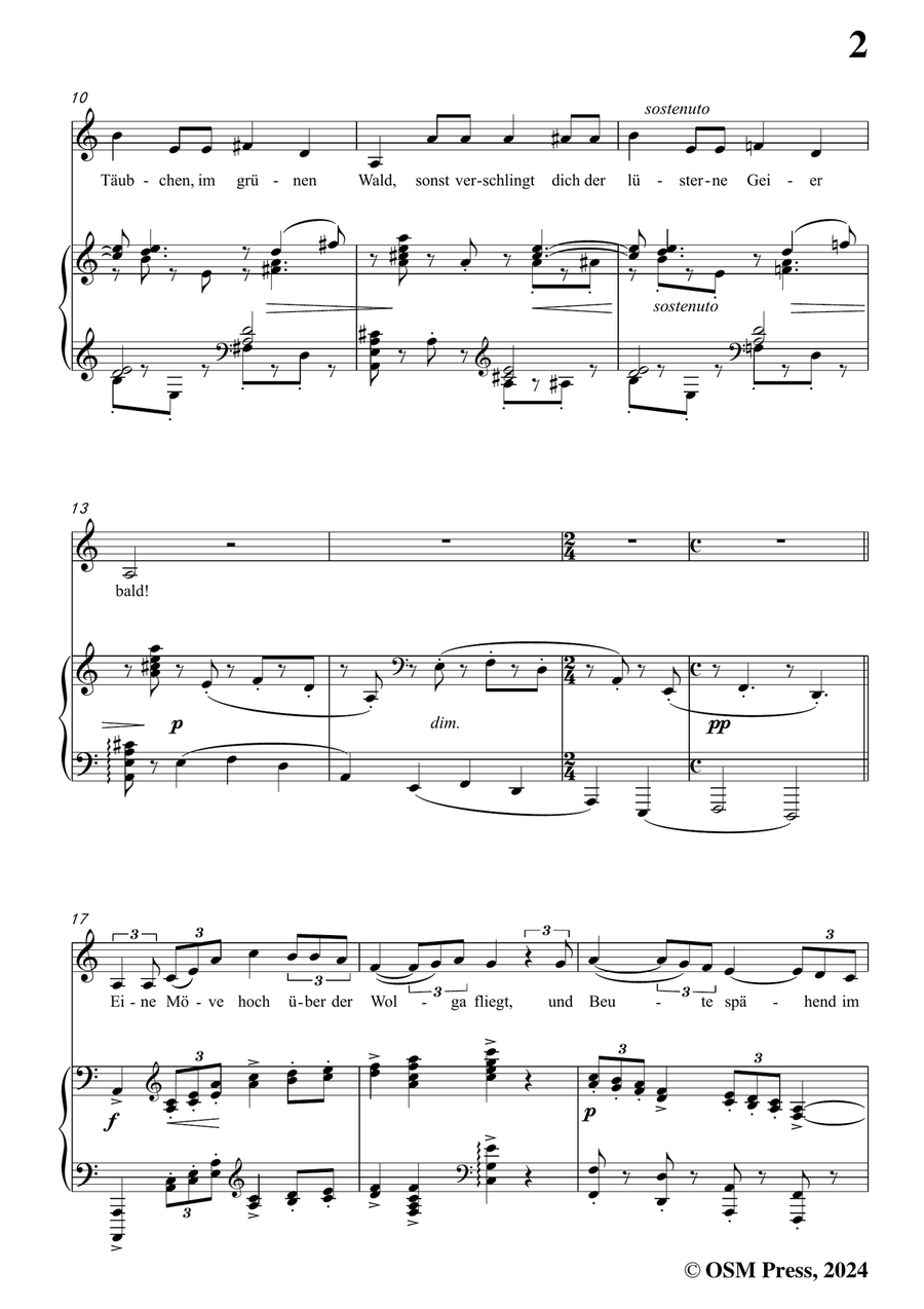 Brahms-Lied aus dem Gedicht Ivan,in a minor Piano, Vocal scores gallery preview page 3