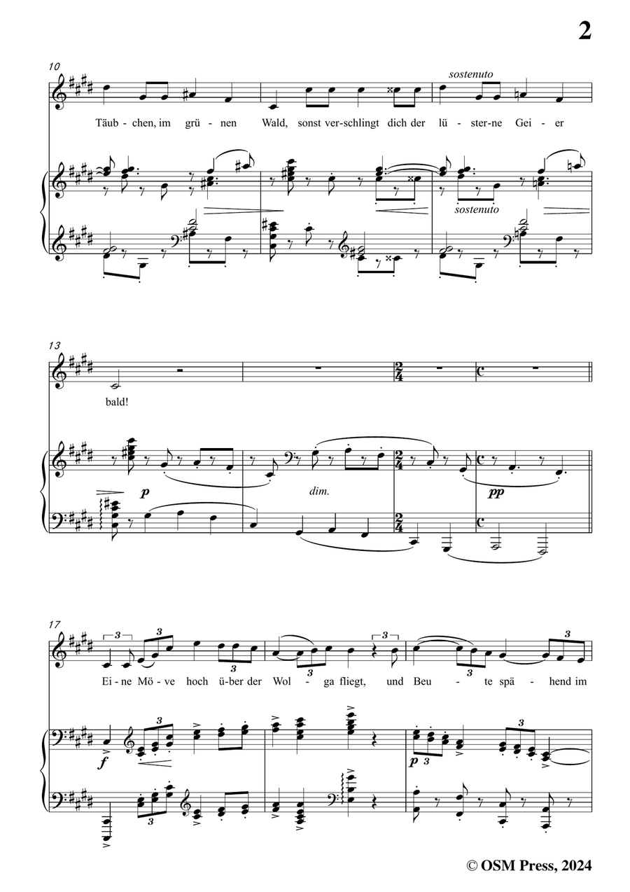 Brahms-Lied aus dem Gedicht Ivan,in c sharp minor Piano, Vocal scores gallery preview page 3