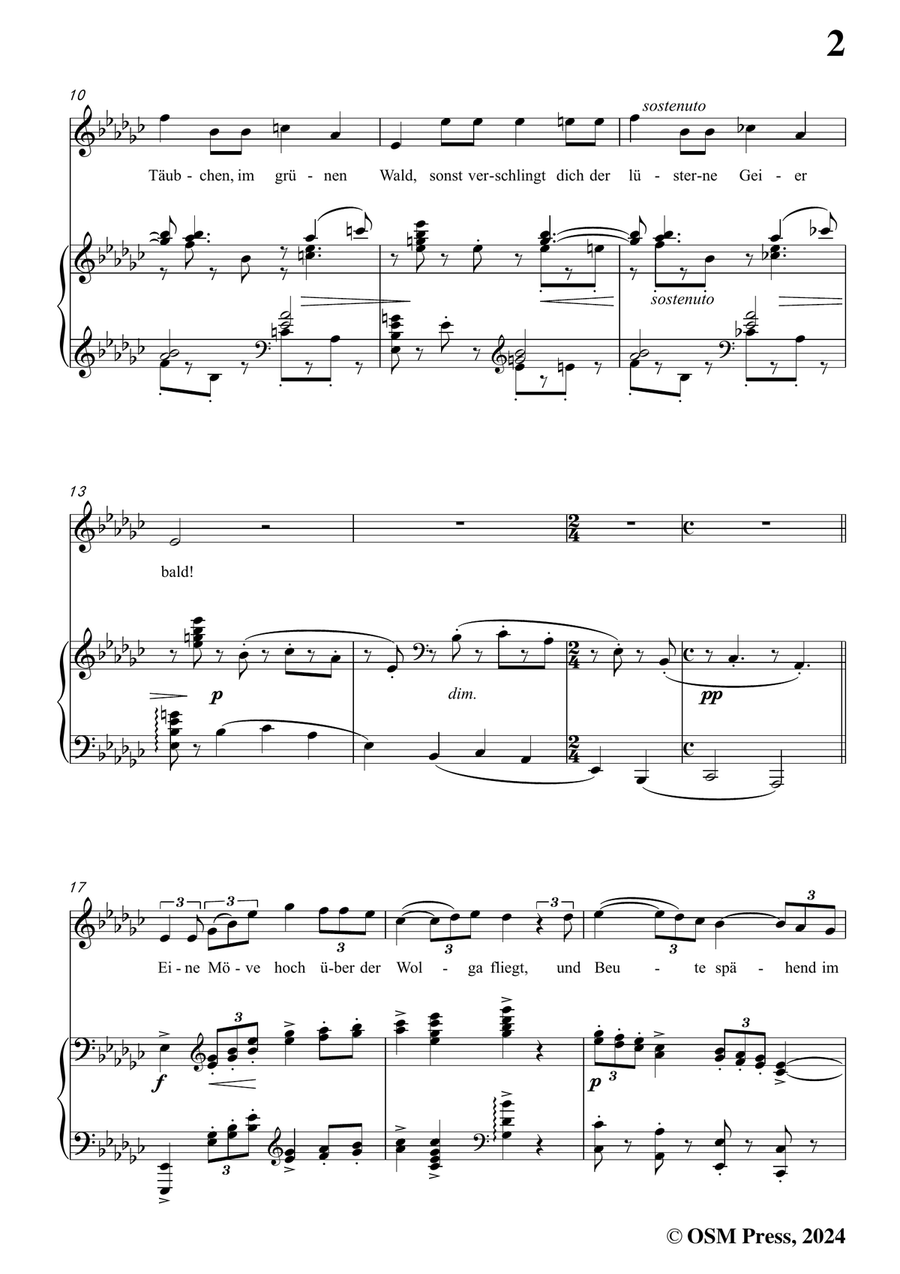 Brahms-Lied aus dem Gedicht Ivan,in e flat minor Piano, Vocal scores gallery preview page 3