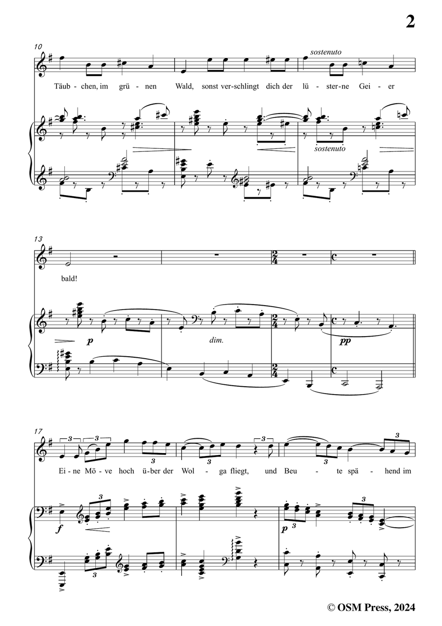 Brahms-Lied aus dem Gedicht Ivan,in e minor Piano, Vocal scores gallery preview page 3