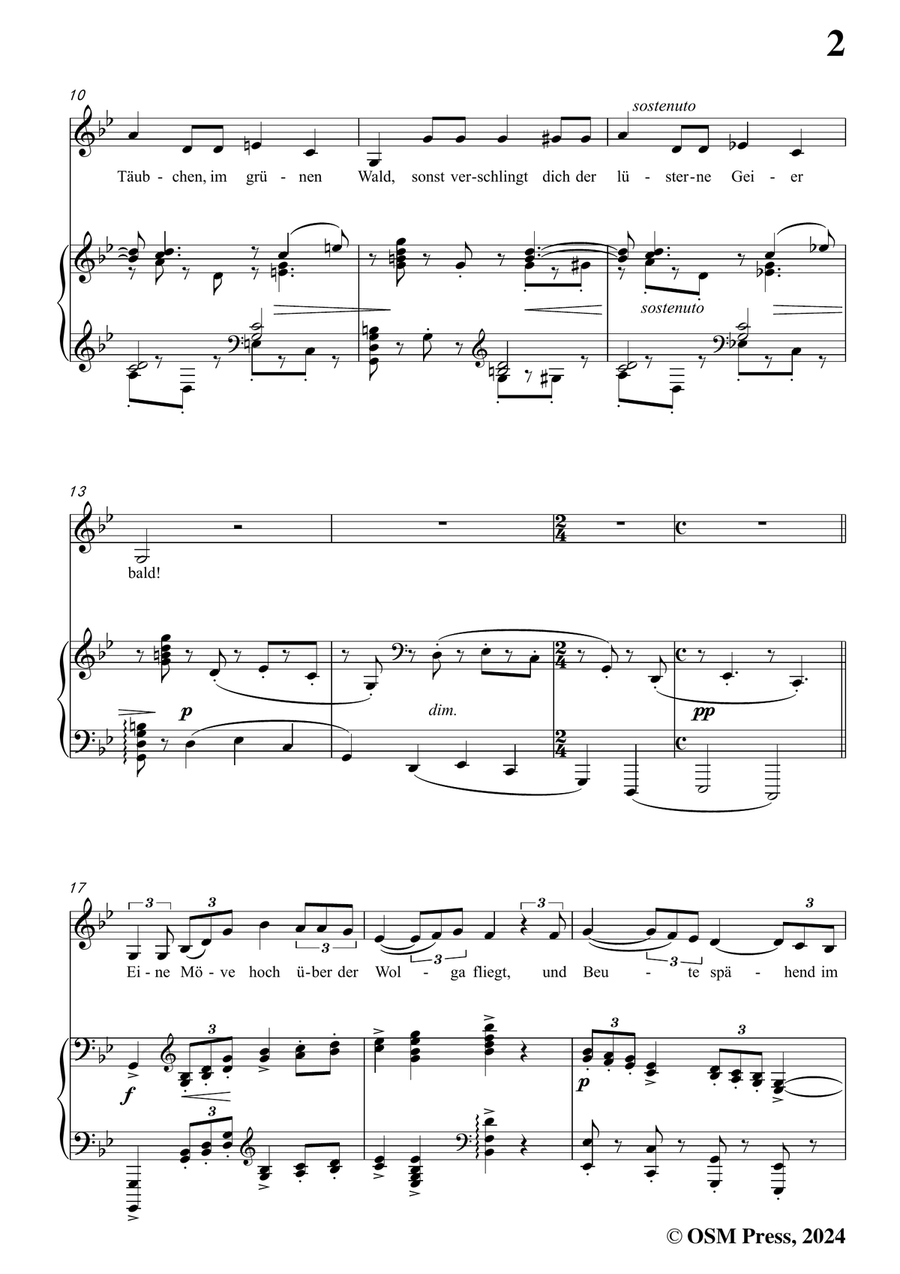 Brahms-Lied aus dem Gedicht Ivan,in g minor Piano, Vocal scores gallery preview page 3