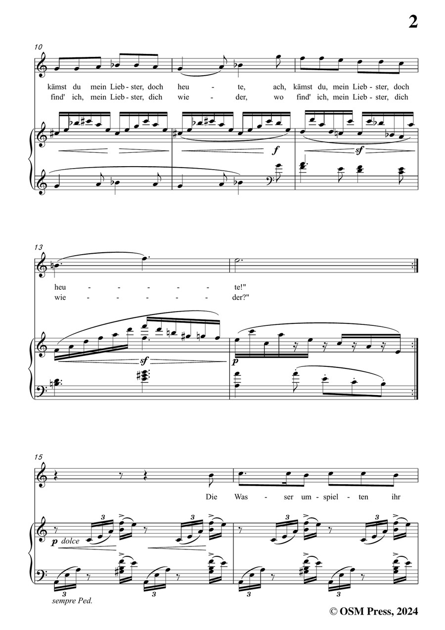 Brahms-Treue Liebe,in a minor Piano, Vocal scores gallery preview page 3