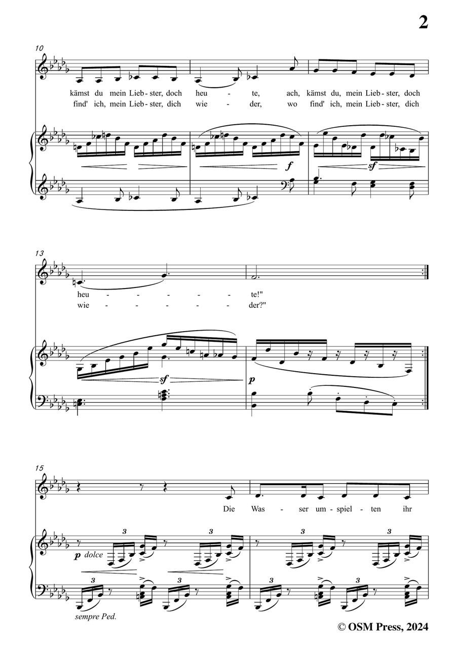 Brahms-Treue Liebe,in b flat minor Piano, Vocal scores gallery preview page 3