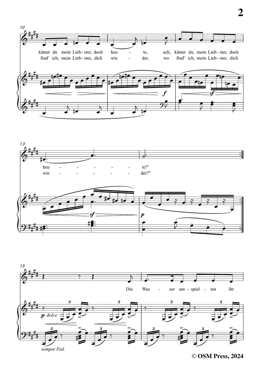 Brahms-Treue Liebe,in c sharp minor Piano, Vocal scores gallery preview page 3