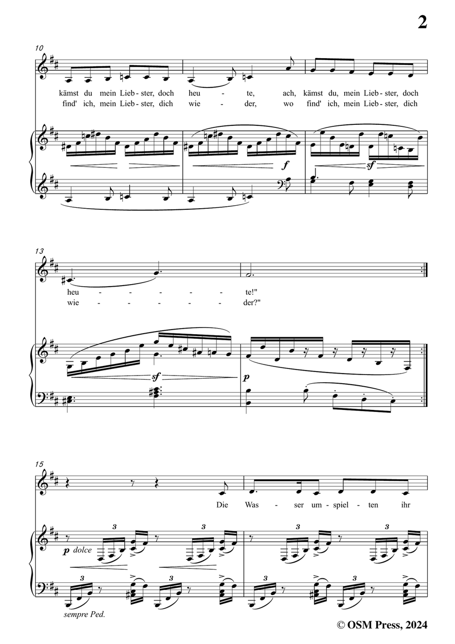 Brahms-Treue Liebe,in b minor Piano, Vocal scores gallery preview page 3