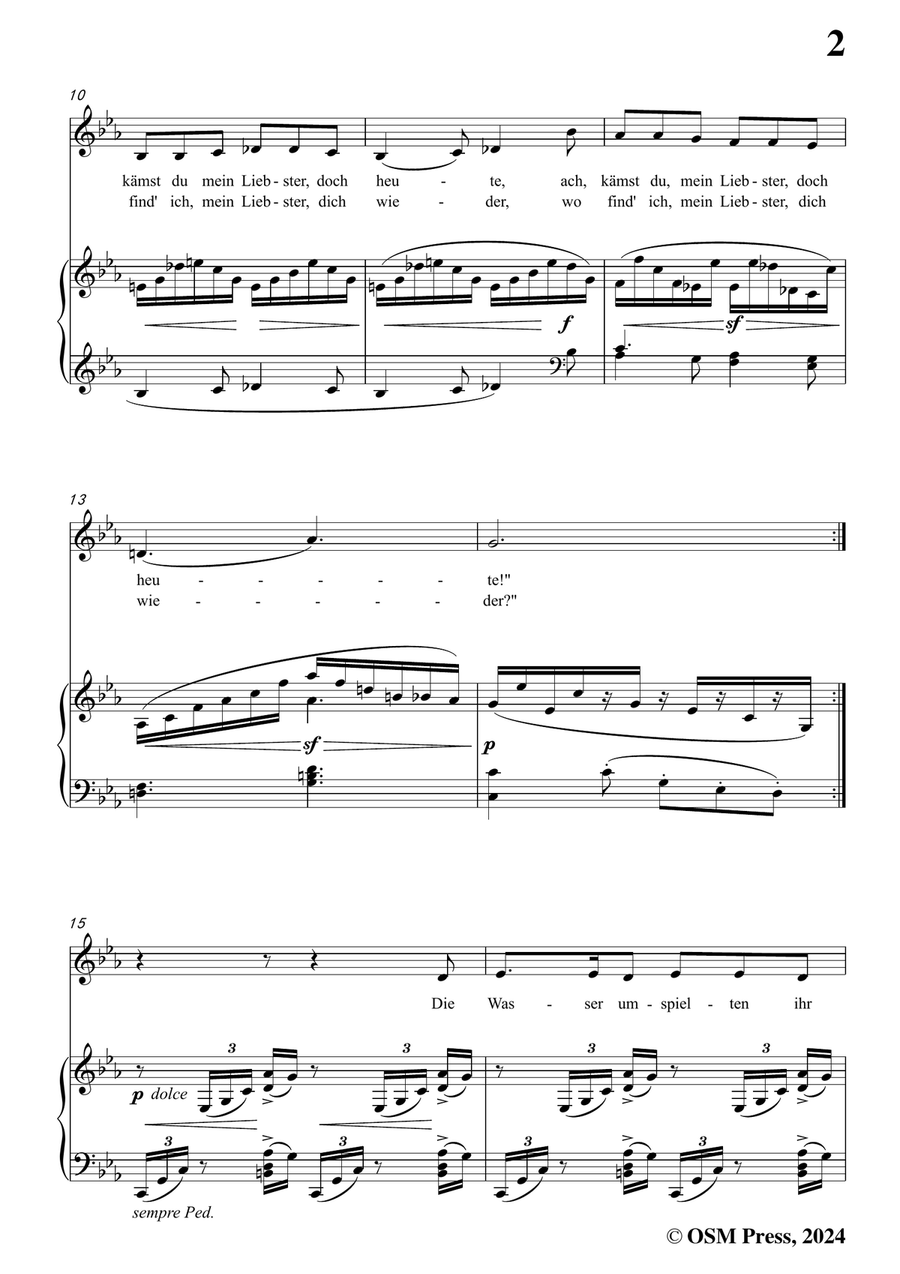 Brahms-Treue Liebe,in c minor Piano, Vocal scores gallery preview page 3
