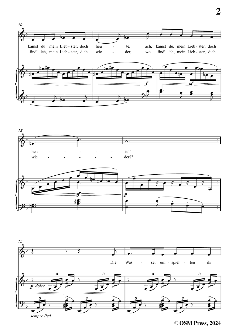 Brahms-Treue Liebe,in d minor Piano, Vocal scores gallery preview page 3